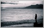 contemplando contemplando