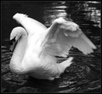 Commenti e critiche sono ben accetti.