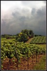 Prima della tempesta Prima della tempesta