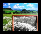 Raduno Ph4u - ? - Raduno Ph4u - ? -