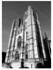 Cattedrale Cattedrale