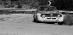 alfa alfa