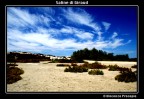 Saline di Giraud Saline di Giraud