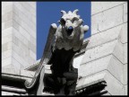Gargoyle parigino Gargoyle parigino