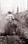 lavorare la terra lavorare la terra