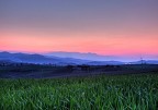 Il grano del mio papā Il grano del mio papā