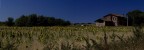 PORTUENSE-FARM PORTUENSE-FARM