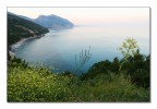 Cala Gonone Cala Gonone