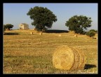 Un pomeriggio d'estate... Un pomeriggio d'estate...