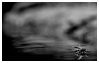 confusion B/W confusion B/W