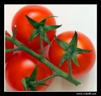 Pomodori Pomodori