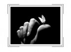 Mano E Farfalla