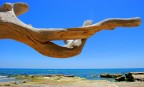 "la natura e le sue sculture" "la natura e le sue sculture"