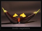 Erotic Vegetable