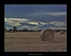 Ultime Rotoballe Ultime Rotoballe
