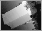 Vivere in un riflesso Vivere in un riflesso