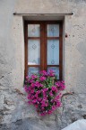 Populonia...la finestra fiorita Populonia...la finestra fiorita