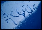 acqua acqua
