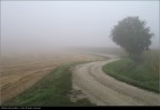 Strada nella nebbia Strada nella nebbia