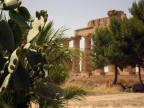 Fichi & Templi Fichi & Templi