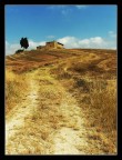 :::Estate::: :::Estate:::