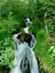 doccia naturale... doccia naturale...