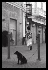 attesa attesa