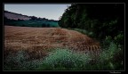 Ricami serali... nel verde Ricami serali... nel verde