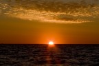 Alba 2 Alba 2