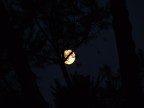 notte di mezza estate... notte di mezza estate...