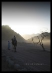 In the Sinai In the Sinai