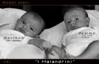 "I Malandrini" ...dal 28 luglio al cinema. "I Malandrini" ...dal 28 luglio al cinema.