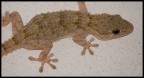 Natura 8 Natura 8