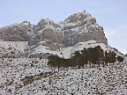 Ho usato la Minolta A2 con l' anti-shake.
E' chiamato anche Redentore per la statua posizionata in cima.
Sotto la montagna a sinistra, si intravede la piccola chiesetta di San Michele, meta di fotogenici pellegrinaggi...
