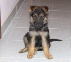 Xina Xina