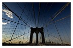 N.Y...UNA CITTA' NELLA RETE N.Y...UNA CITTA' NELLA RETE