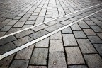 linee linee
