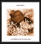 un piccolo esperimento con una rosa essiccata...