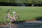 Bici Bici