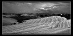 terre senesi 07 n.2 terre senesi 07 n.2