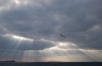 Ho visto la luce Ho visto la luce