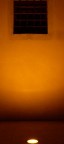 luci luci