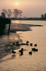 alla foce del piave alla foce del piave