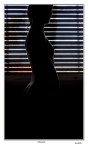 silhouette silhouette