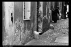 Roma Trip VII Roma Trip VII