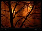 Essenze Notturne Essenze Notturne