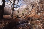 sorgente di vita sorgente di vita