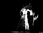 Flamenco Flamenco