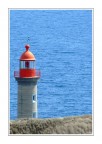 Faro Faro