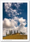 I Cipressini (Pienza) I Cipressini (Pienza)